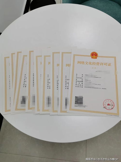 辦理網絡文化經營許可證的費用構成與申請流程詳解
