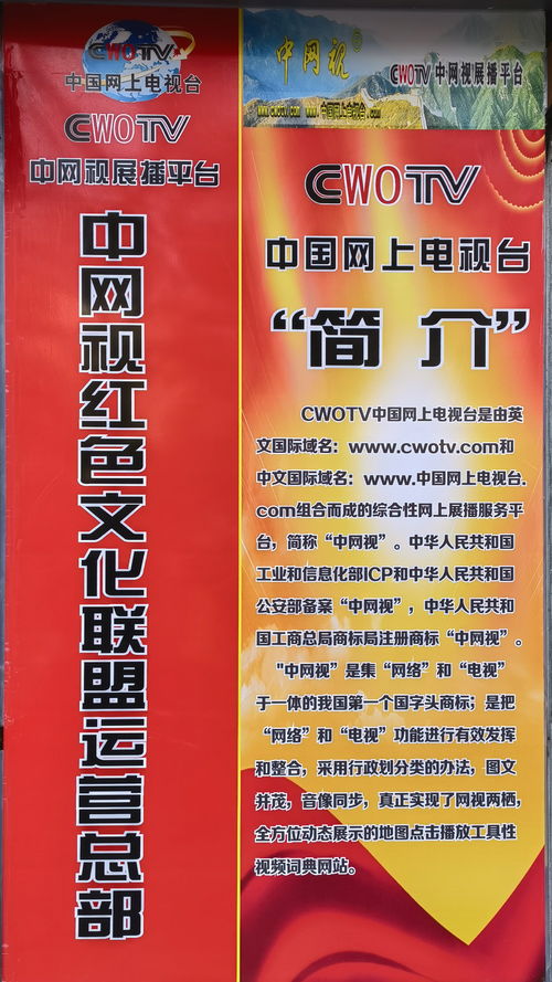 中網視紅色文化聯盟運營總部落地上海暨中網視上?？偛砍闪⒅苣陸c 探索網絡文化經營新范式